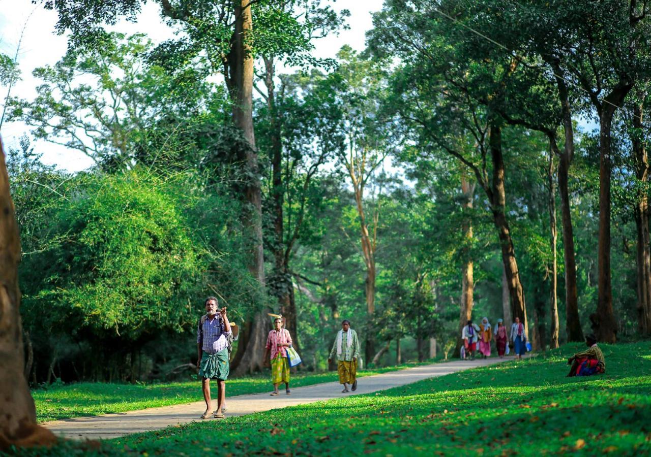 Tusker Inn Wayanad Forest Villa By Voye Homes Экстерьер фото