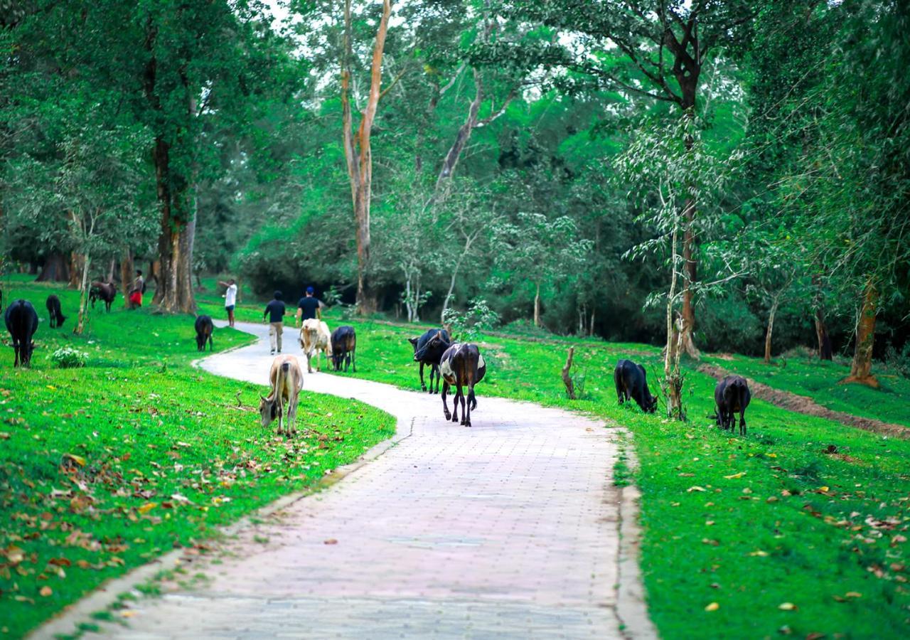 Tusker Inn Wayanad Forest Villa By Voye Homes Экстерьер фото