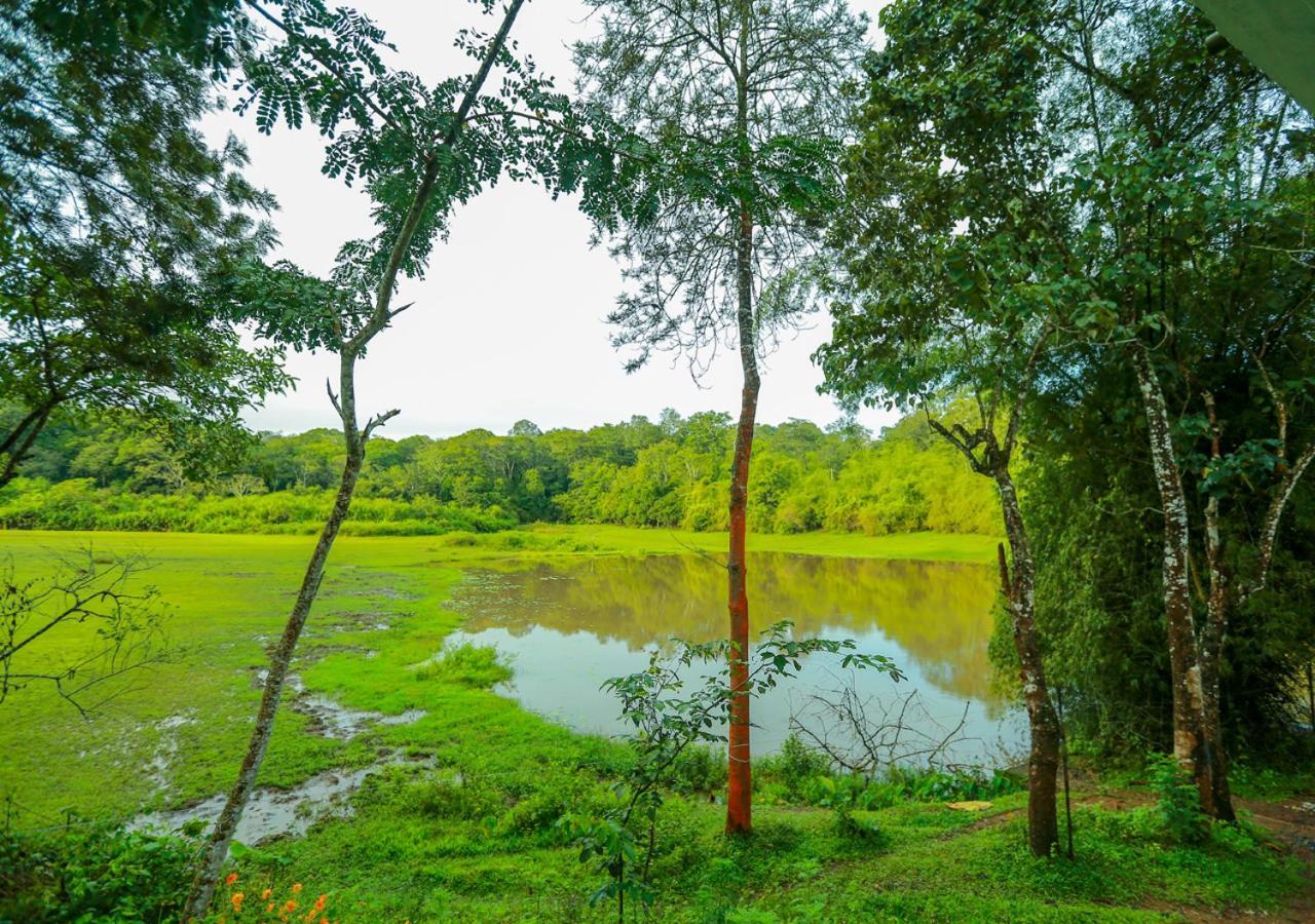 Tusker Inn Wayanad Forest Villa By Voye Homes Экстерьер фото